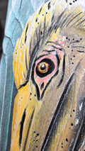 Pelican, Medium Sized