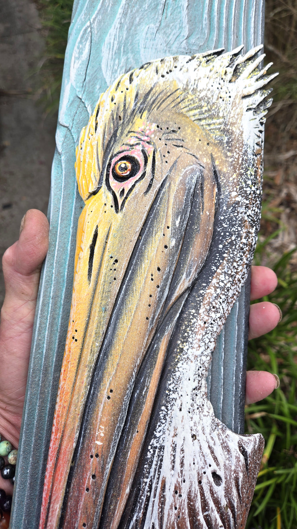 Pelican, Medium Sized
