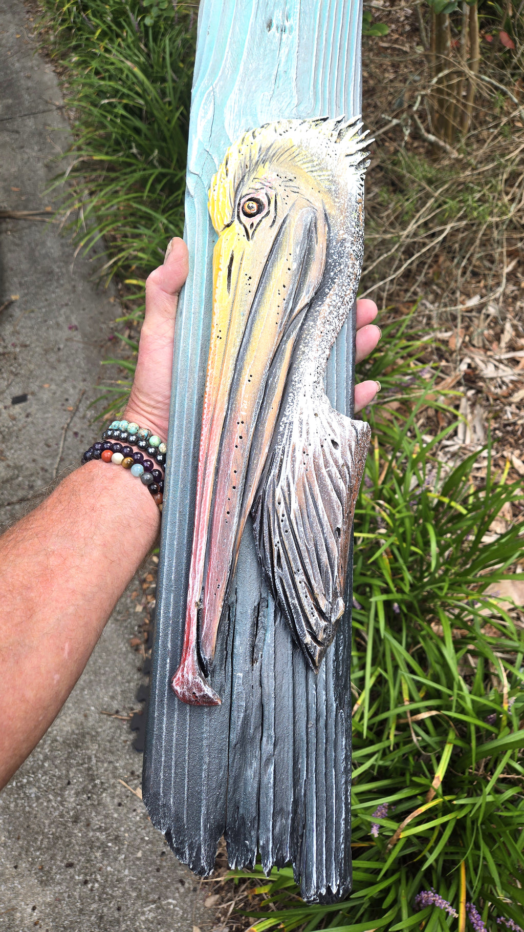 Pelican, Medium Sized