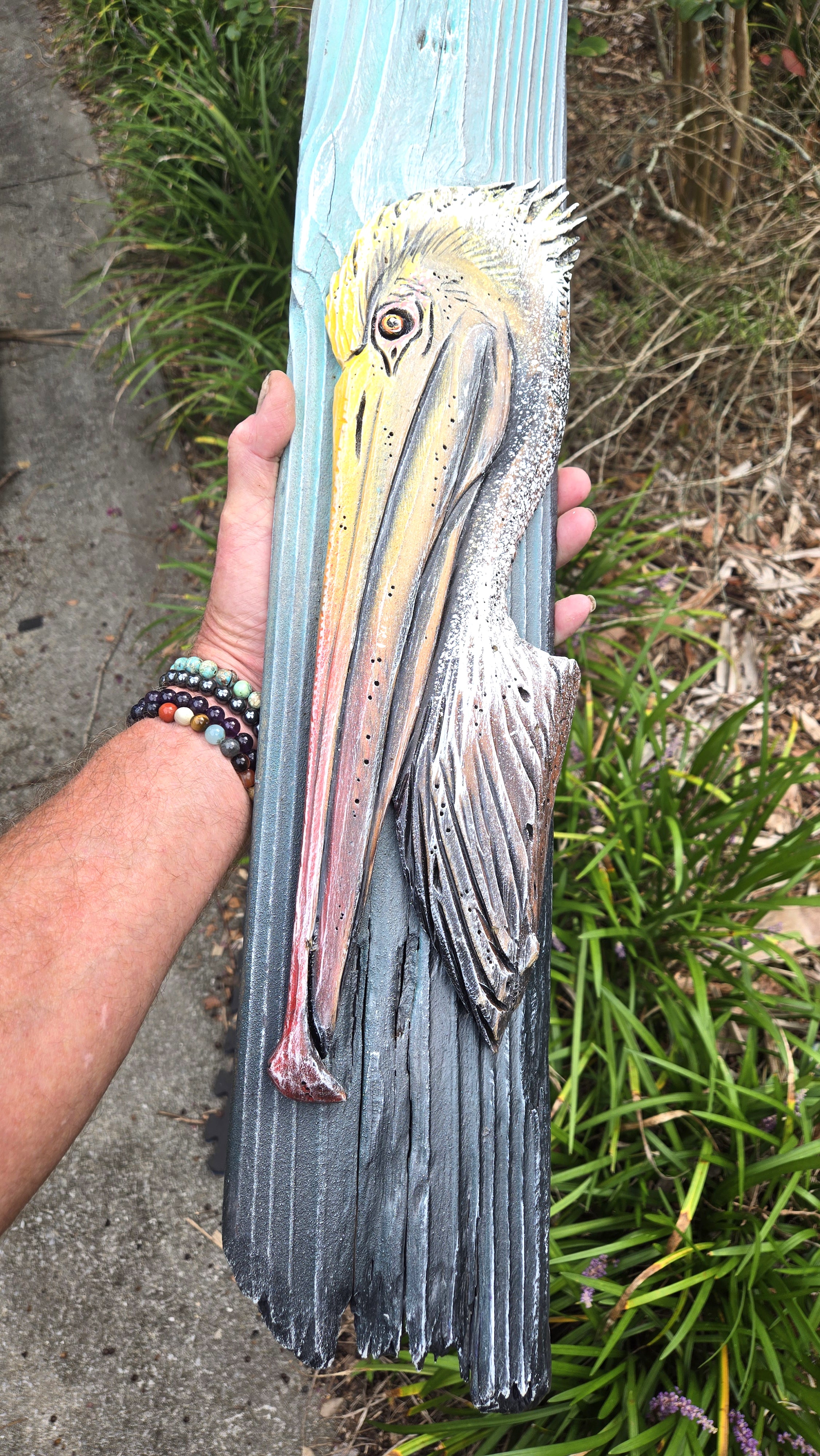 Pelican, Medium Sized