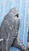 Shark, Medium Sized