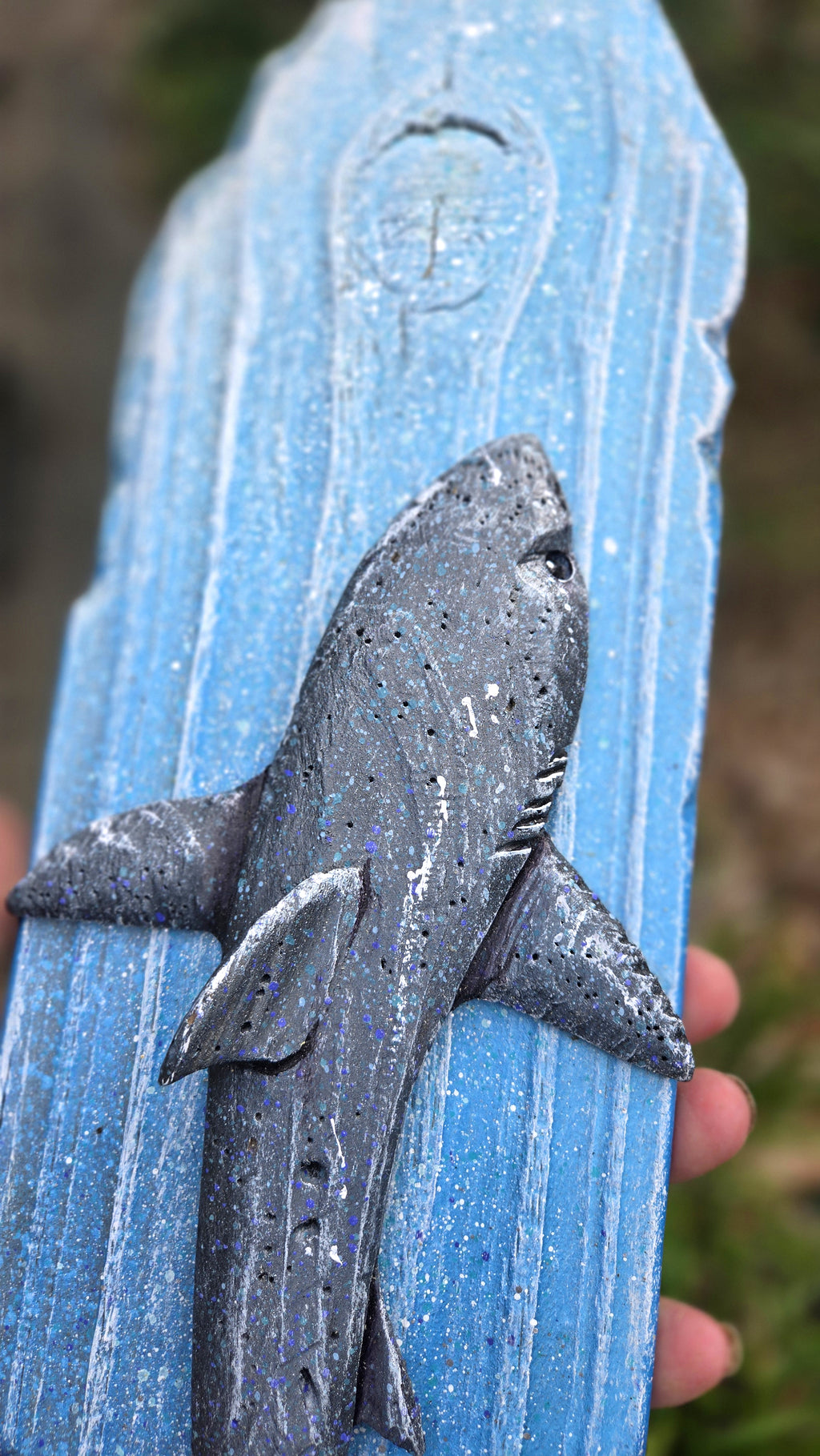 Shark, Medium Sized