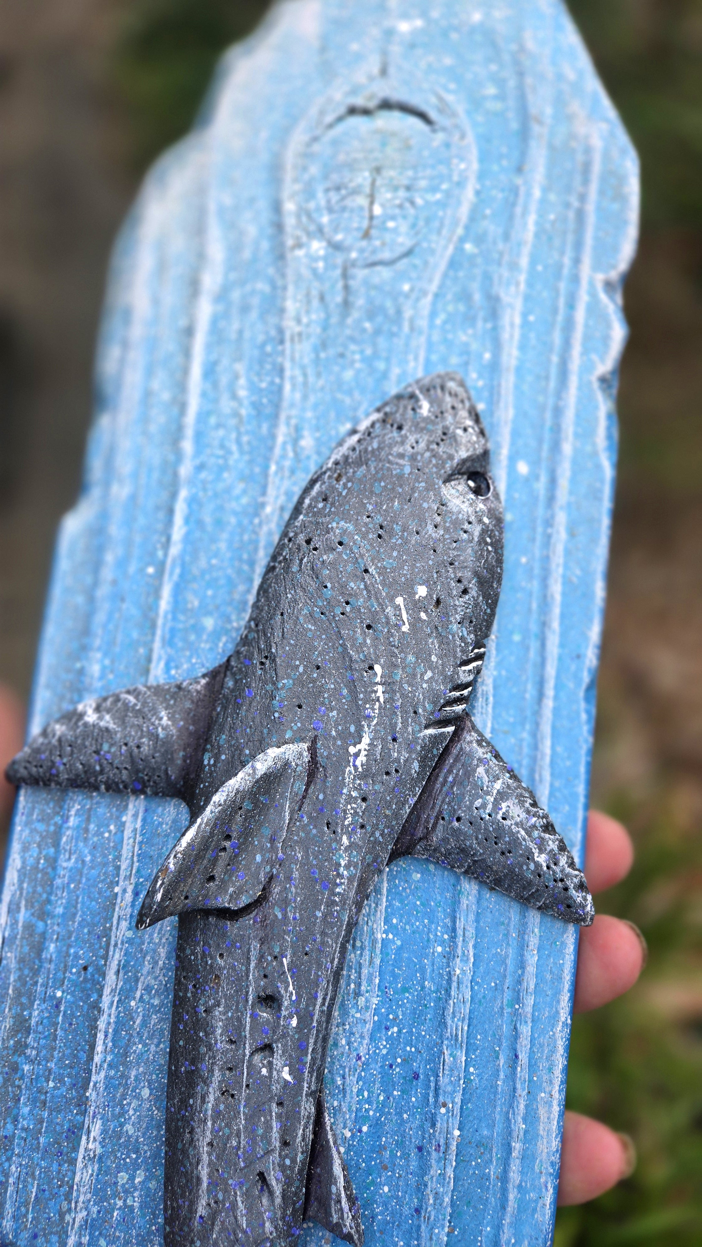 Shark, Medium Sized