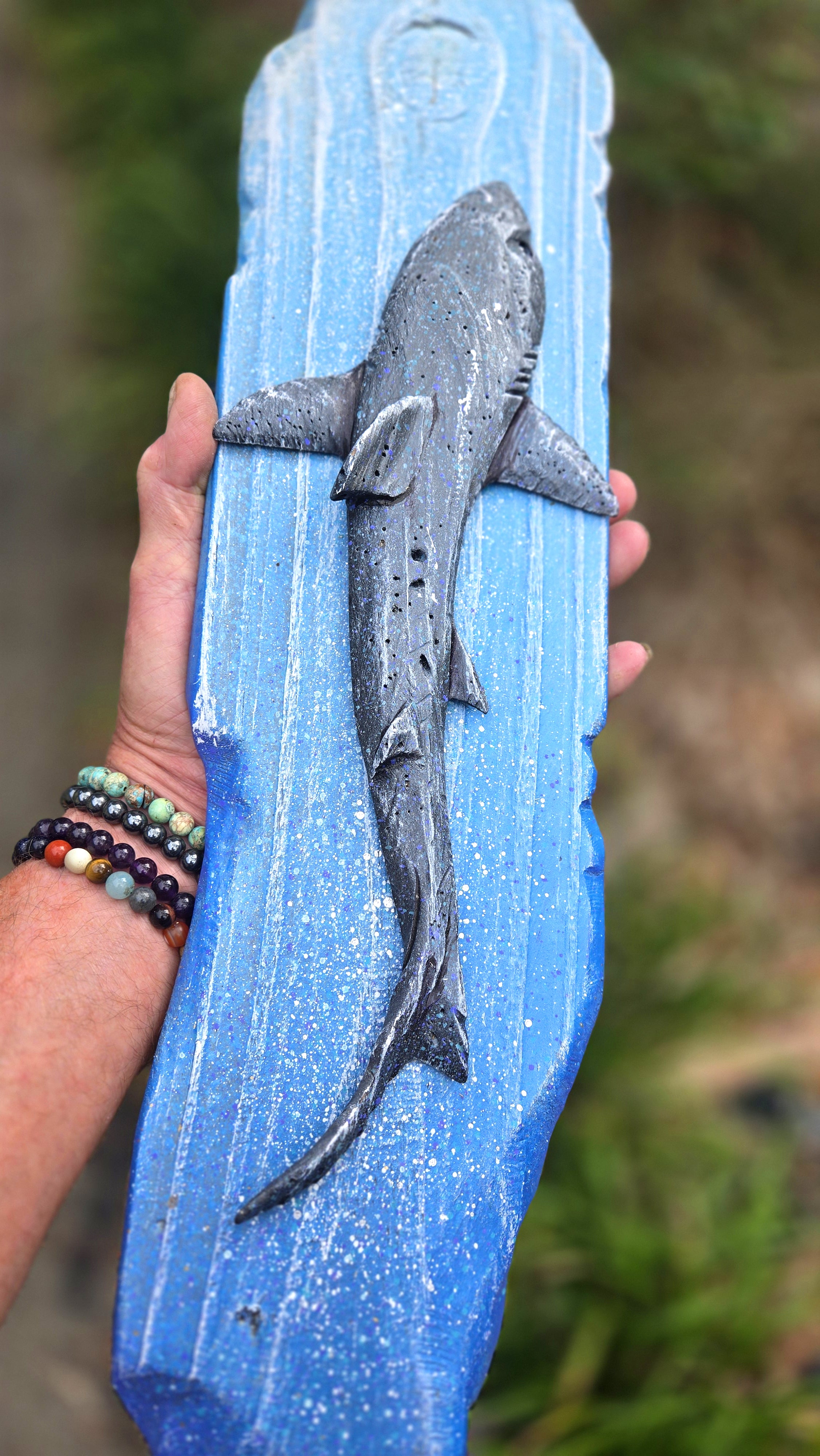 Shark, Medium Sized
