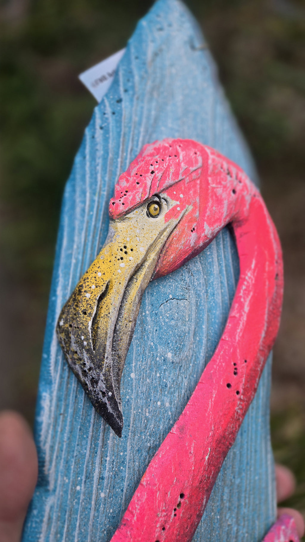 Flamingo, Medium Sized
