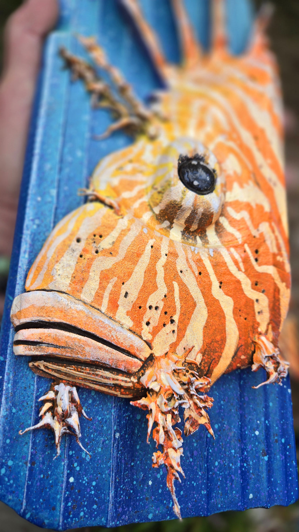 Lionfish, Medium Sized