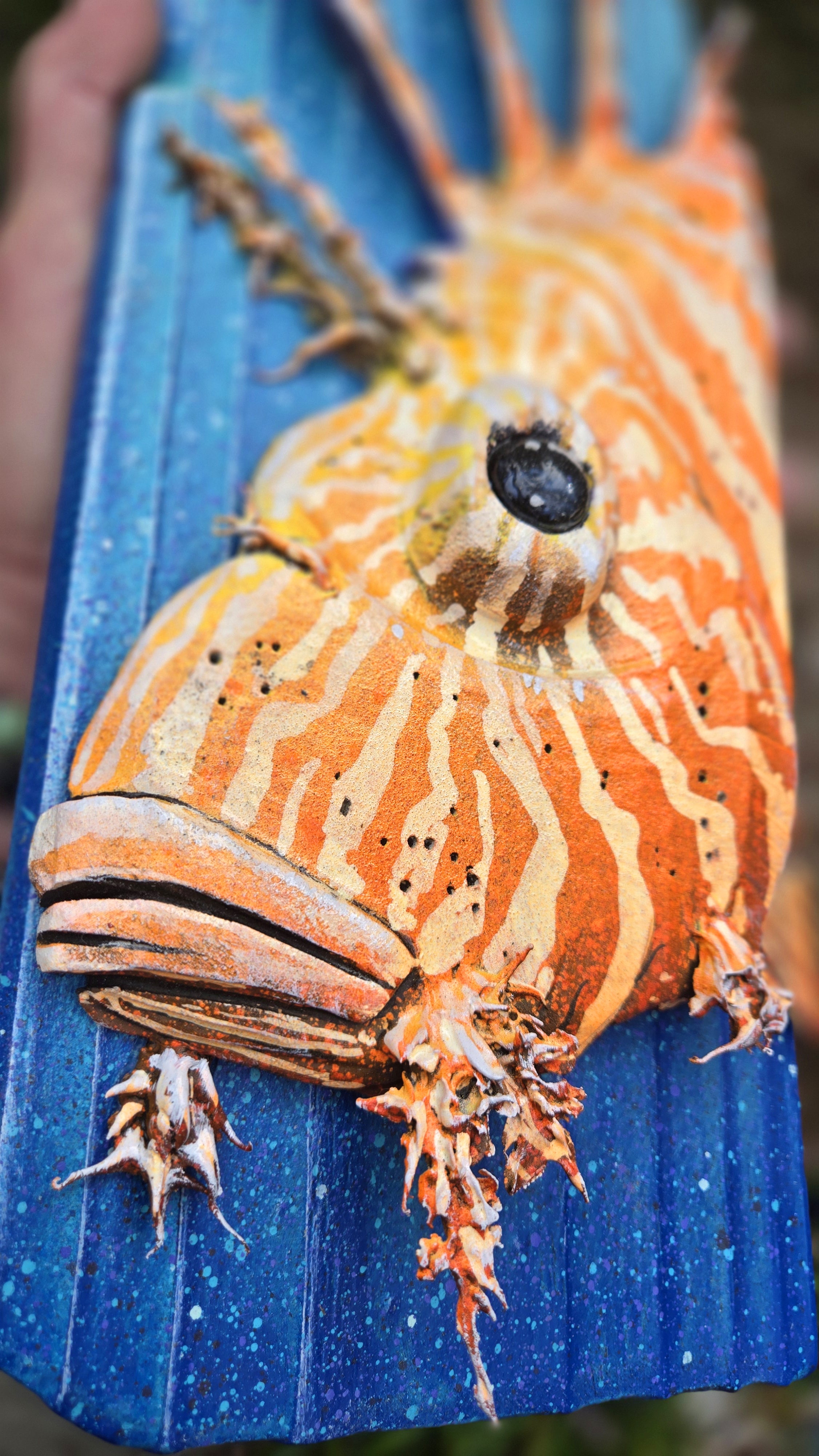 Lionfish, Medium Sized