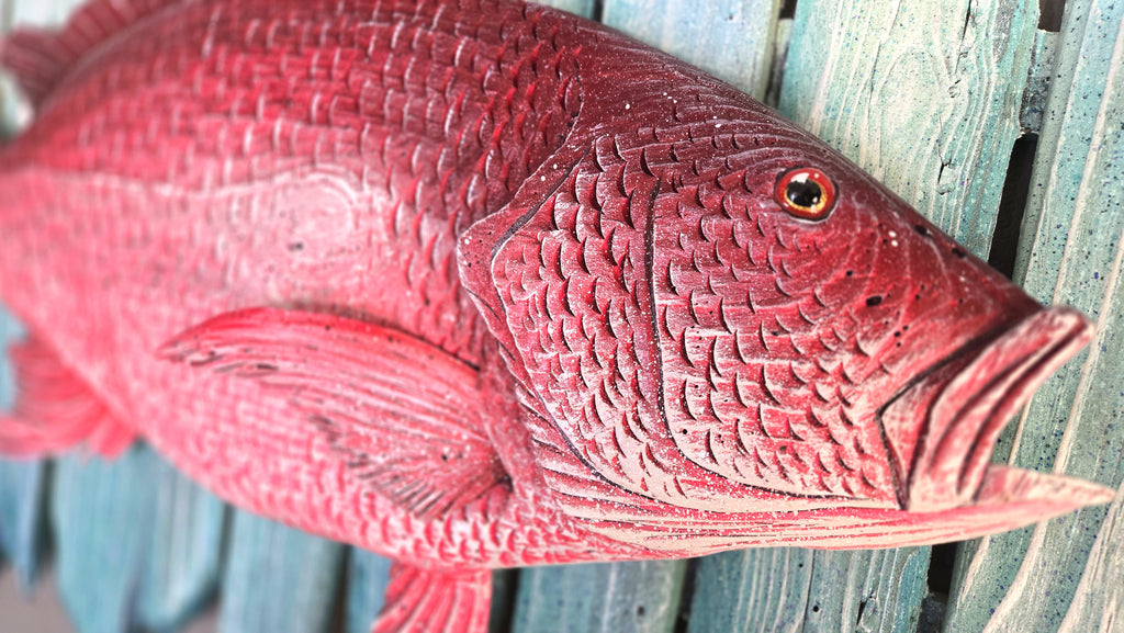 Red Snapper, Large Sized
