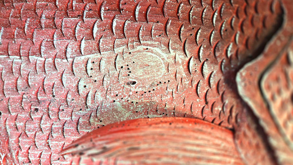 Red Snapper, Large Sized