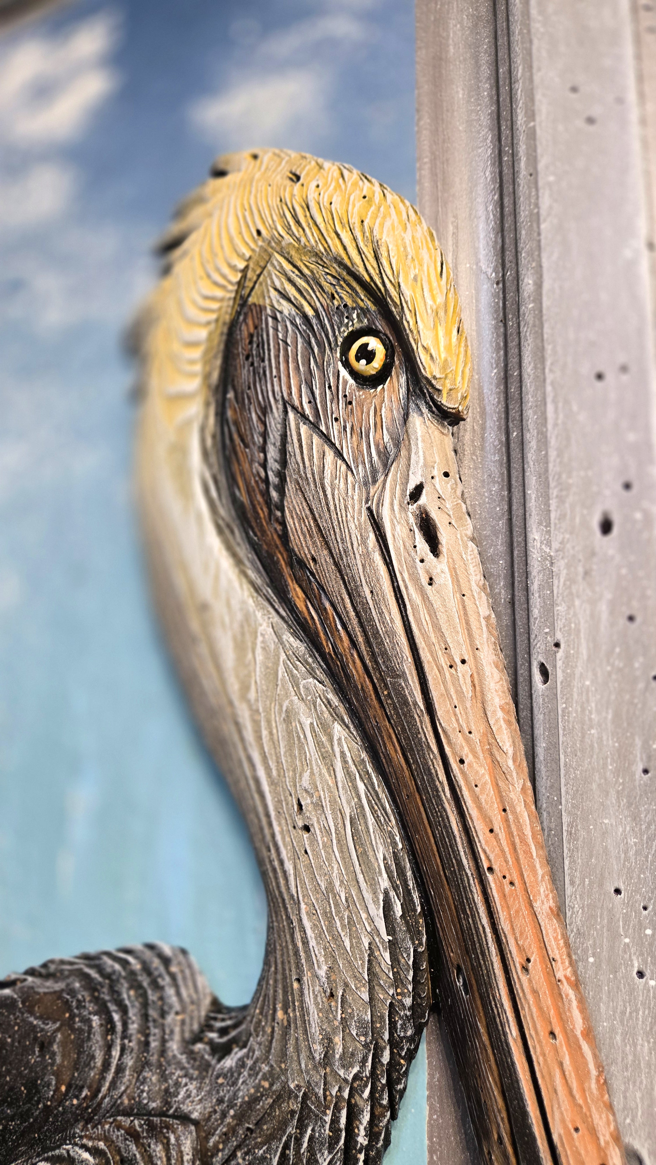 Pelican, Large Sized, Brown
