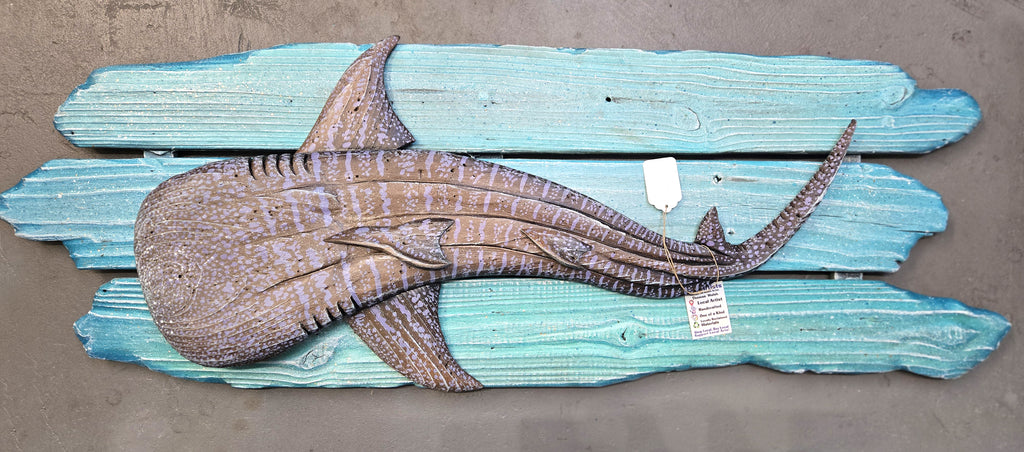 Whale Shark, OverSized