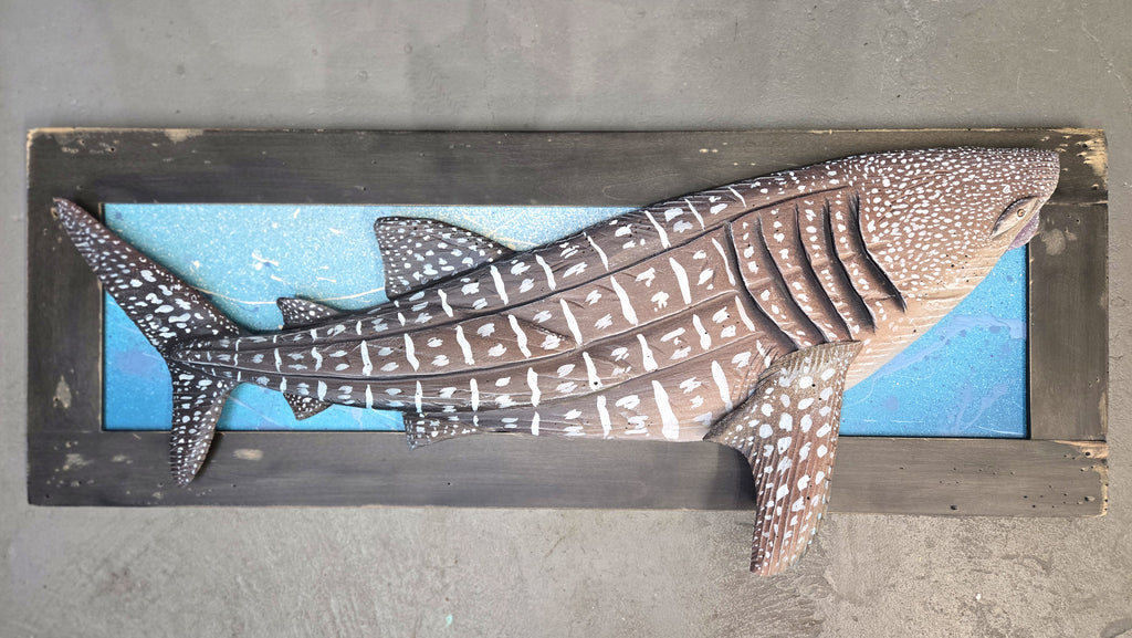 Whale Shark, Large Sized