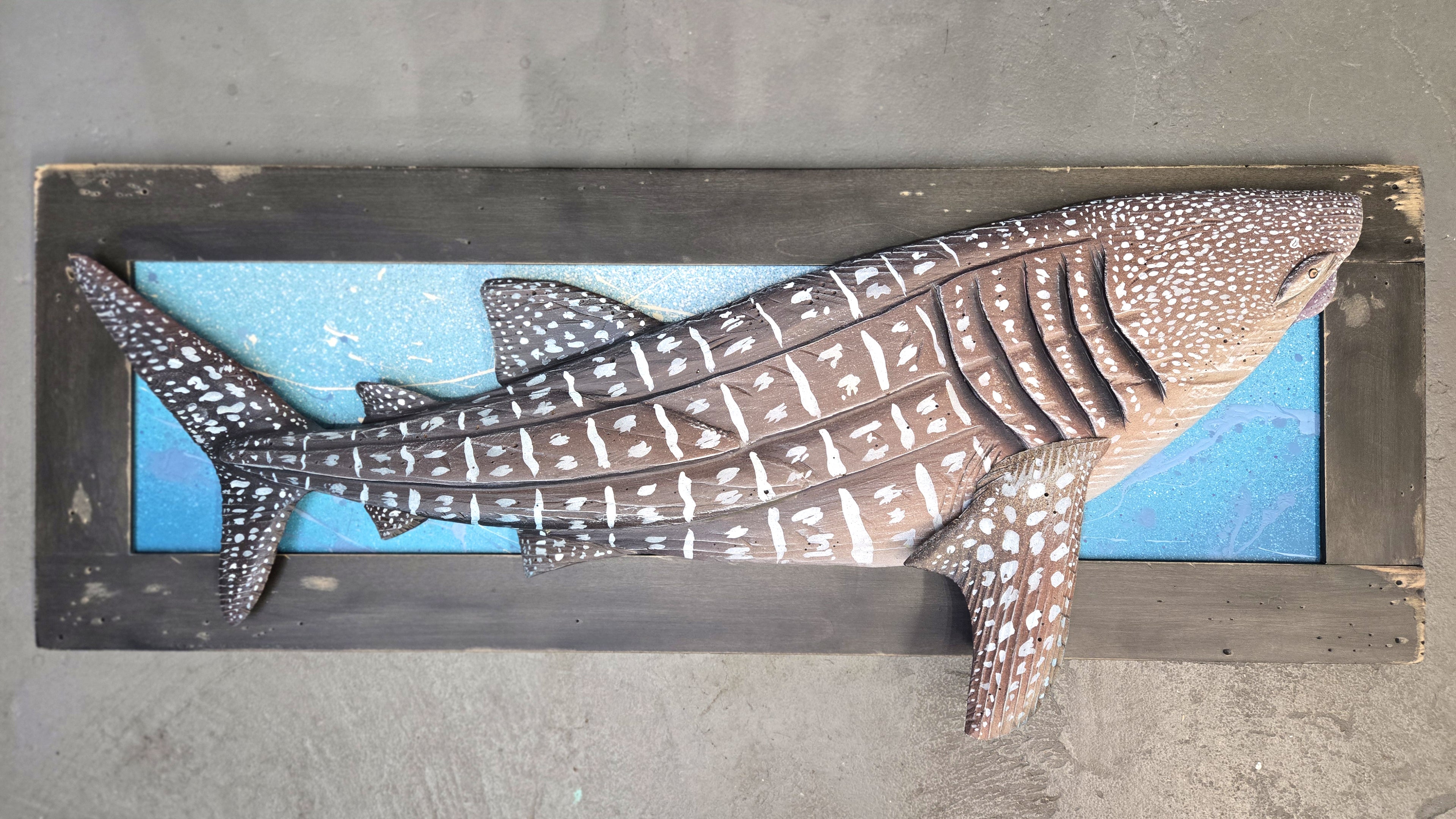 Whale Shark, Large Sized