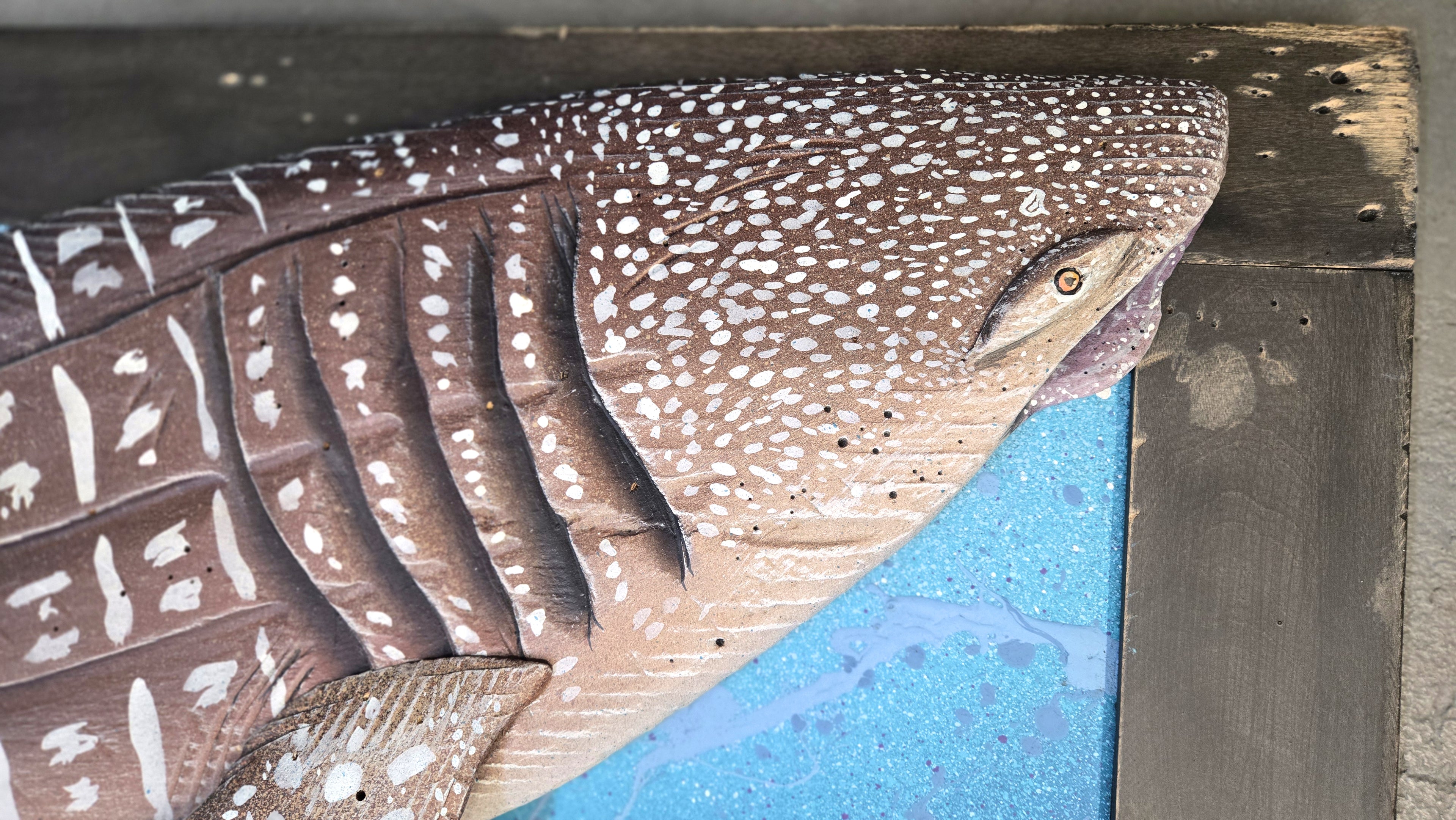 Whale Shark, Large Sized